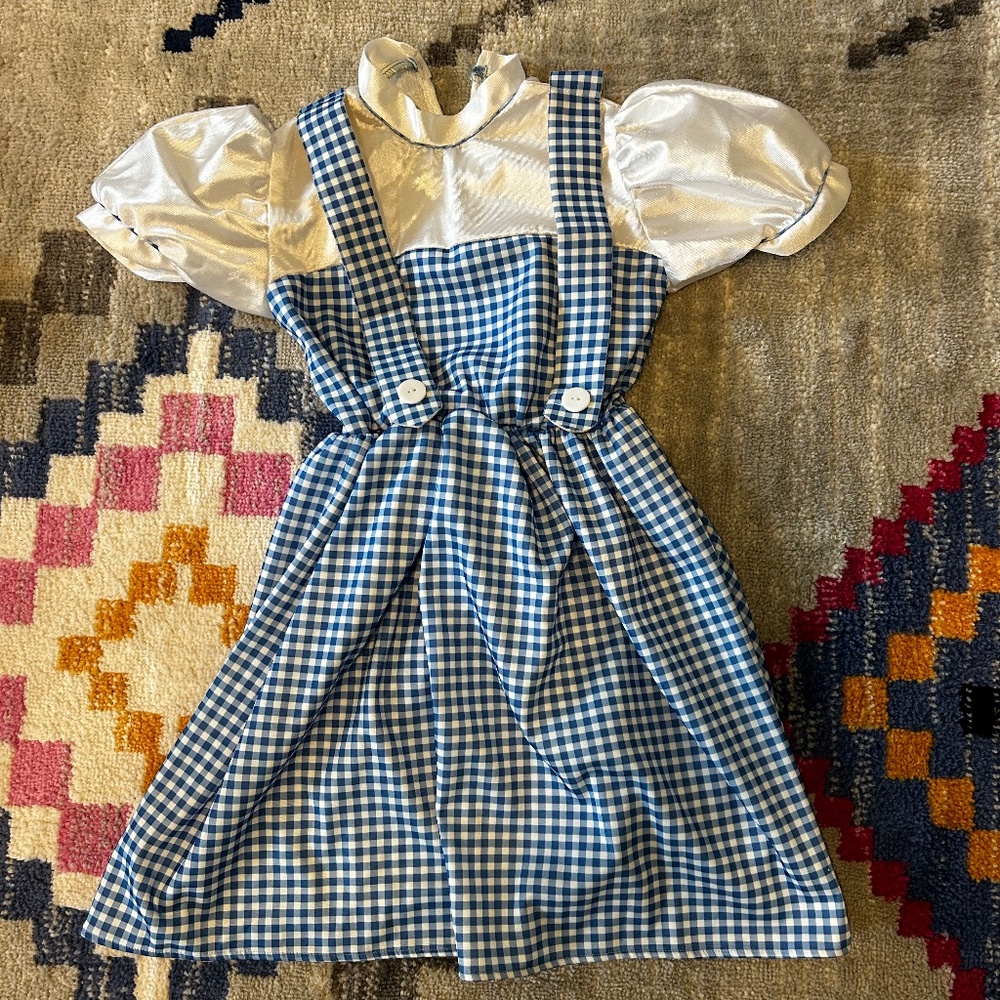 Wizard of Oz Dorothy costume size 8-10